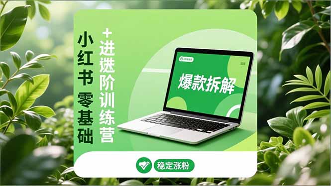 小红书零基础+高阶训练营：安全养号、爆款拆解、长效运营，实现稳定涨粉与变现-泡泡网创