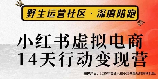 小红书虚拟电商14天变现训练营3.0，​虚拟产品，2025年普通人在小红书最后的搞钱机会-泡泡网创