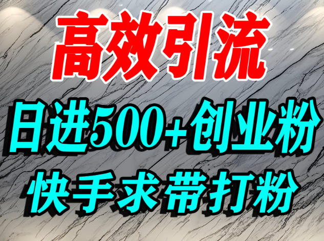 怎么打创业粉？快手求带视角精准引流创业粉，宝妈、学生群体日进500+精准流量-泡泡网创