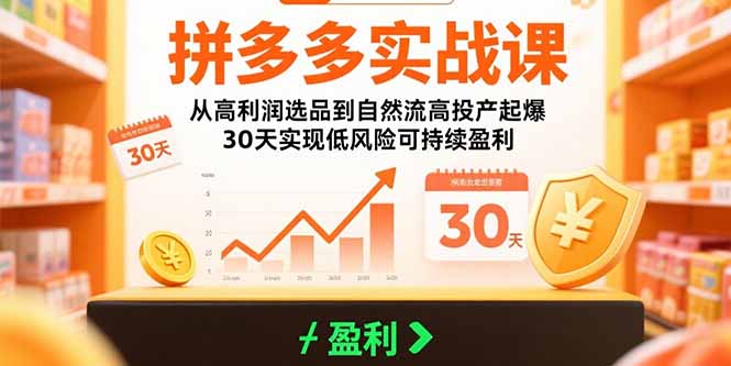 拼多多实战课：从高利润选品到自然流高投产起爆 30天实现低风险可持续盈利-泡泡网创