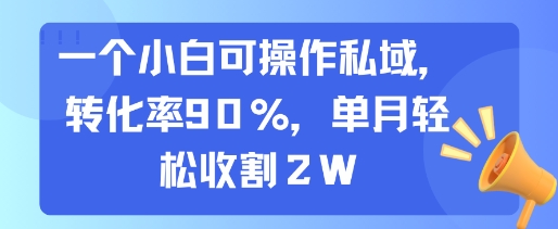 一个小白可操作私域，转化率90%，单月轻松收割2W-泡泡网创
