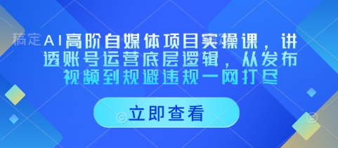 AI高阶自媒体项目实操课，讲透账号运营底层逻辑，从发布视频到规避违规一网打尽-泡泡网创