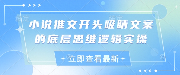 小说推文开头吸睛文案的底层思维逻辑实操-泡泡网创