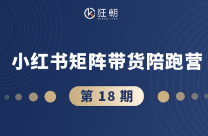 盗坤·抖音小红书视频号短视频带货与直播变现(11-18期)-泡泡网创