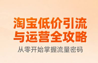 淘宝低价引流与运营全攻略(更新9月)-泡泡网创