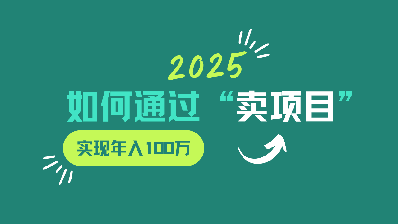 2025年如何通过“卖项目”实现年入100w-泡泡网创