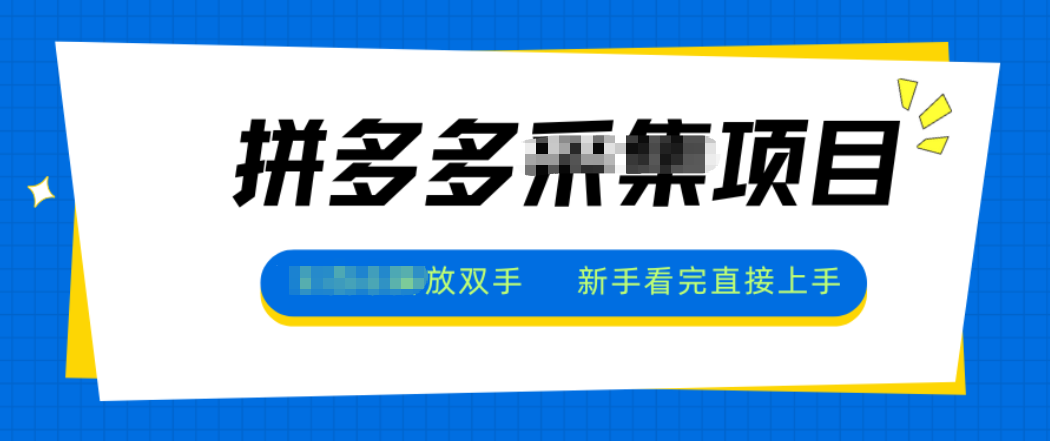 拼多多电商采集，一小时50+，操作简单，零投资-泡泡网创