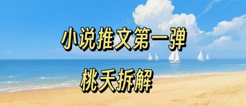 小说推文项目操作全流程第一弹，0粉就能做，门槛低非常适合新手-泡泡网创