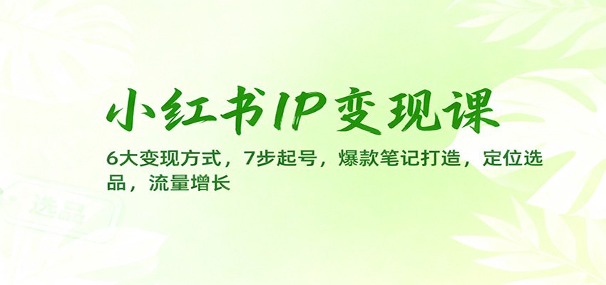 小红书IP变现课：6大变现方式，7步起号，爆款笔记打造，定位选品，流量增长-泡泡网创