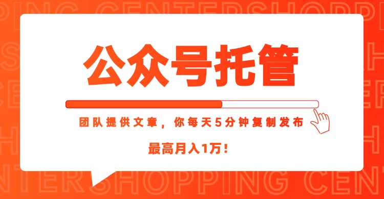 【公众号托管 】我提供文章，你每天５分钟复制发布，最高月入1W-泡泡网创