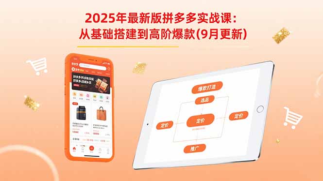 2025年最新版拼多多实战课：从基础搭建到高阶爆款(9月更新-泡泡网创