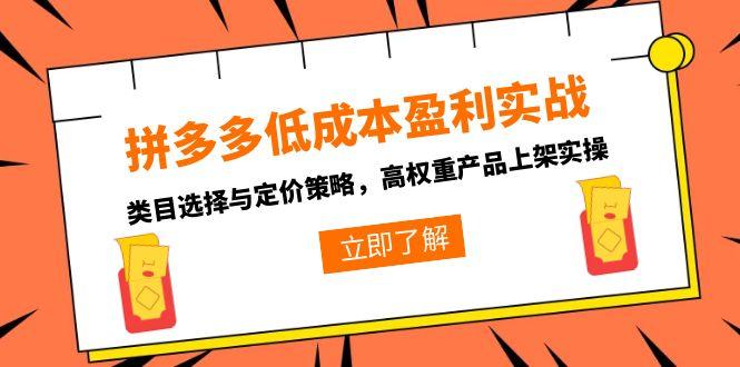 拼多多低成本盈利实战，类目选择与定价策略，高权重产品上架实操-泡泡网创