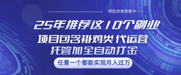 25年推荐这10个副业项目包含褂鸡类、代运营托管类、全自动打金类【揭秘】-泡泡网创