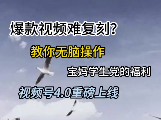 视频号4.0重磅上线，爆款视频难复刻？教你无脑操作宝妈学生党的福利【揭秘】-泡泡网创
