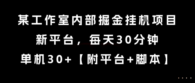 某工作室内部掘金挂G项目，新平台，每天30分钟，单机30+【揭秘】-泡泡网创