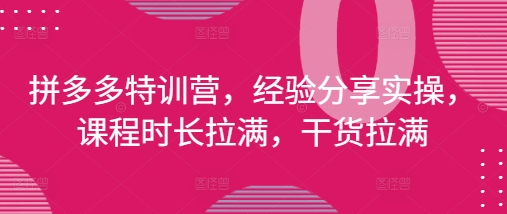 拼多多特训营，经验分享实操，课程时长拉满，干货拉满(更新25年4月)-泡泡网创