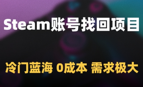 Steam账号找回项目，冷门蓝海，0成本，需求极大-泡泡网创