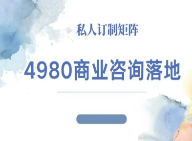 4980商业咨询师落地课程-ip运营高客单教程-泡泡网创