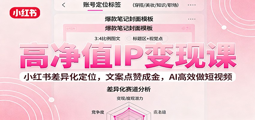 高净值IP变现课：小红书差异化定位，文案点赞成金， AI高效做短视频-泡泡网创