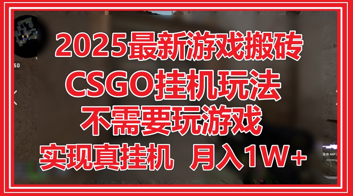 2025最新游戏搬砖，CSGO挂机，不需要玩游戏，实现真挂机，月入1W+-泡泡网创