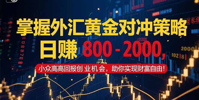 掌握外汇黄金对冲策略，日赚 800 - 2000，小众高回报创业机会，助你实...-泡泡网创