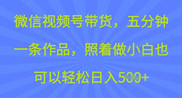 微信视频号带货，五分钟一条作品，照着做小白也可以轻松日入5张-泡泡网创