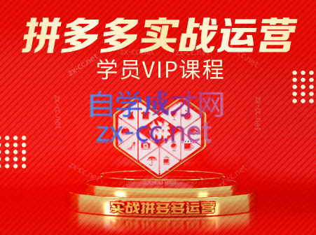 推易电商·拼多多实战运营课(更新2025月)-泡泡网创