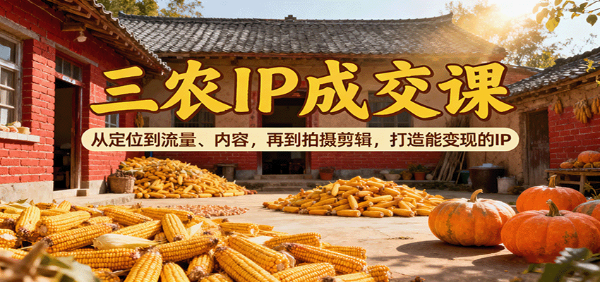 三农IP成交课：从定位到流量、内容，再到拍摄剪辑，打造能变现的IP-泡泡网创