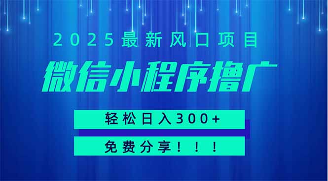 微信小程序撸广，最新风口项目，日入300+ 免费分享 可批量操作 小白可...-泡泡网创