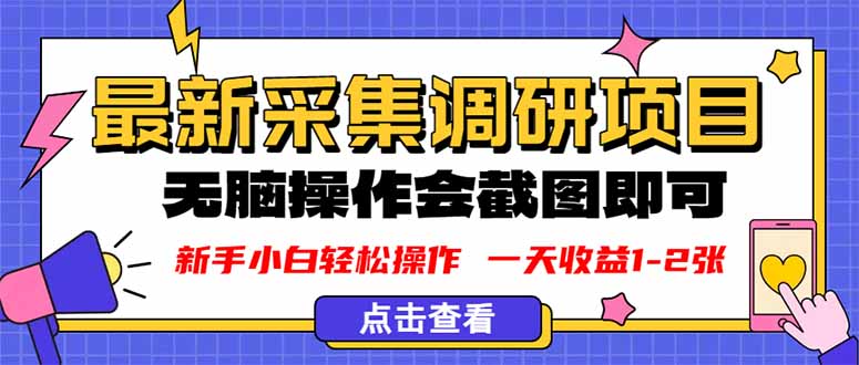 新版采集调研项目，截图上传即可，无脑操作，日收益1-2张-泡泡网创