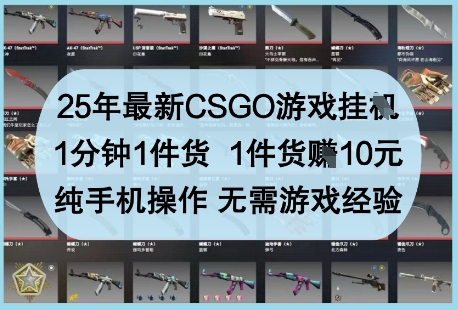 25年最新CSGO游戏挂G，1分钟1件货，1件货挣10元，纯手机操作，无需游戏经验【揭秘】-泡泡网创