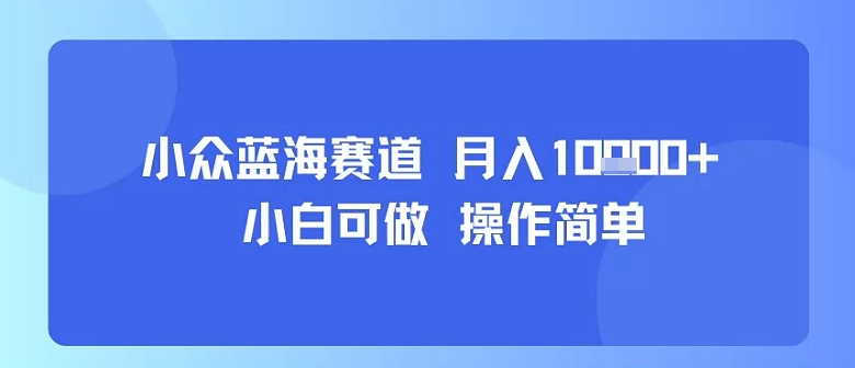 小众蓝海赛道，小白可做，操作简单，每天30分钟，月入1W+-泡泡网创