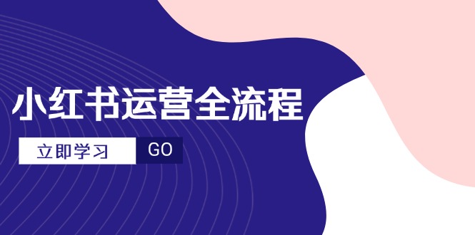 小红书运营全流程，爆款选题文案，视频制作技巧，进阶达人宝典-泡泡网创