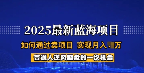 2025蓝海项目，普通人如何通过卖项目，实现月入过W，全过程【揭秘】-泡泡网创