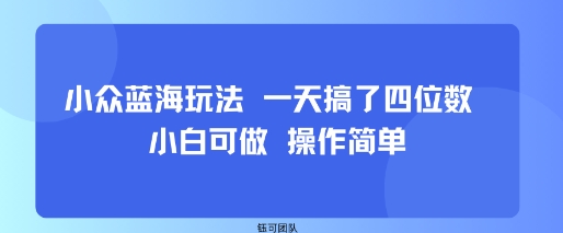 小众蓝海玩法 一天搞了四位数 小白可做 操作简单-泡泡网创