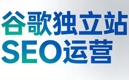 谷歌独立站SEO运营(更新2026)-泡泡网创