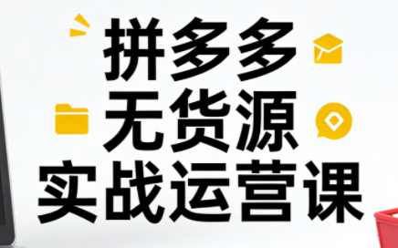 子枫老师·拼多多无货源实战运营课(更新12月)-泡泡网创