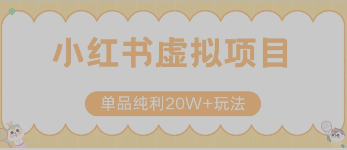 小红书卖虚拟产品，单品纯利20W+玩法分享（节系列课程）-泡泡网创