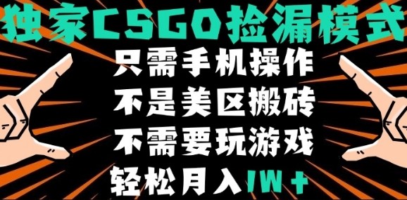 CSGO自动捡漏项目，最新独家玩法，不是美区搬砖，不需要了解和玩游戏，新手小白轻松月入1W+【揭秘】-泡泡网创