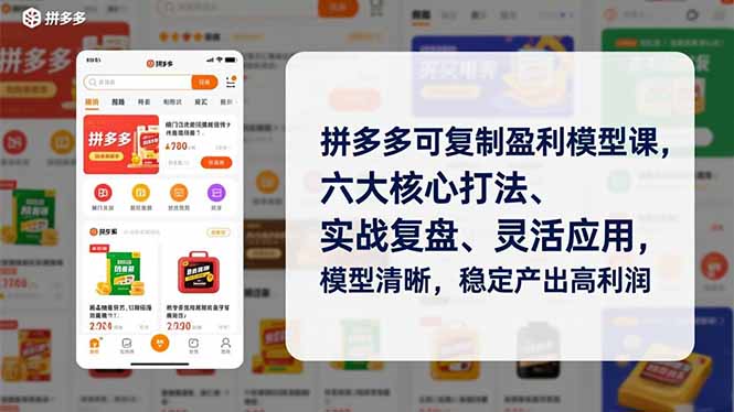 拼多多可复制盈利模型课，六大核心打法、实战复盘、灵活应用，模型清晰，稳定产出高利润-泡泡网创