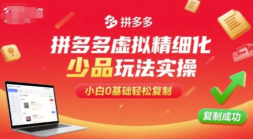 拼多多虚拟精细化少品玩法实操，小白0基础轻松复制-泡泡网创