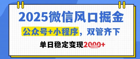 2025微信风口掘金，公众号+小程序双管齐下，单日稳定变现1k+【揭秘】-泡泡网创