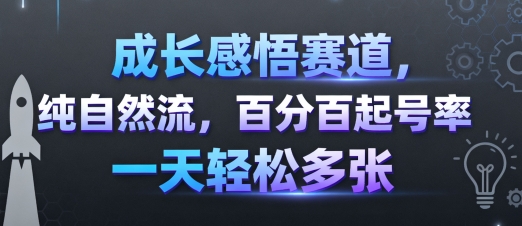 成长感悟赛道，纯自然流，百分百起号率 一天轻松多张-泡泡网创