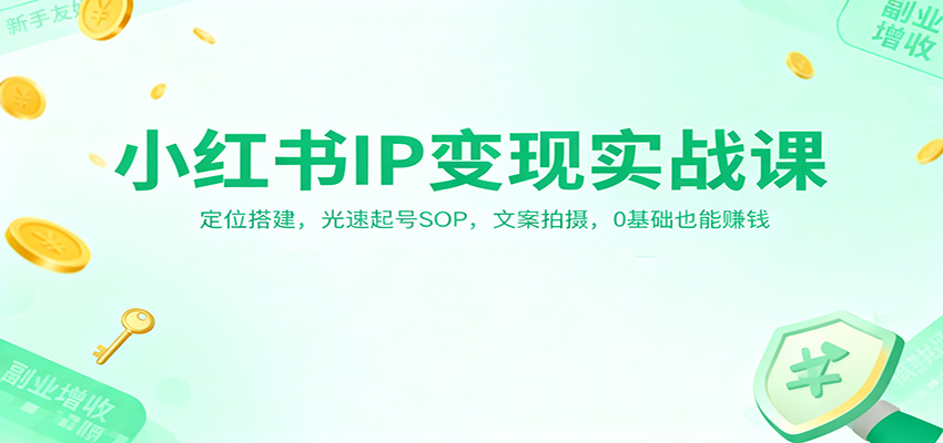 小红书IP变现实战课：定位搭建，光速起号SOP，文案拍摄，0基础也能赚钱-泡泡网创