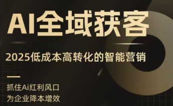 AI全域获客实训营，2025低成本高转化的智能营销，精准找客，高效营销-泡泡网创