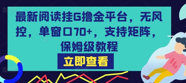 最新阅读挂G撸金平台，无风控，单窗口70+，支持矩阵，保姆级教程【揭秘】-泡泡网创