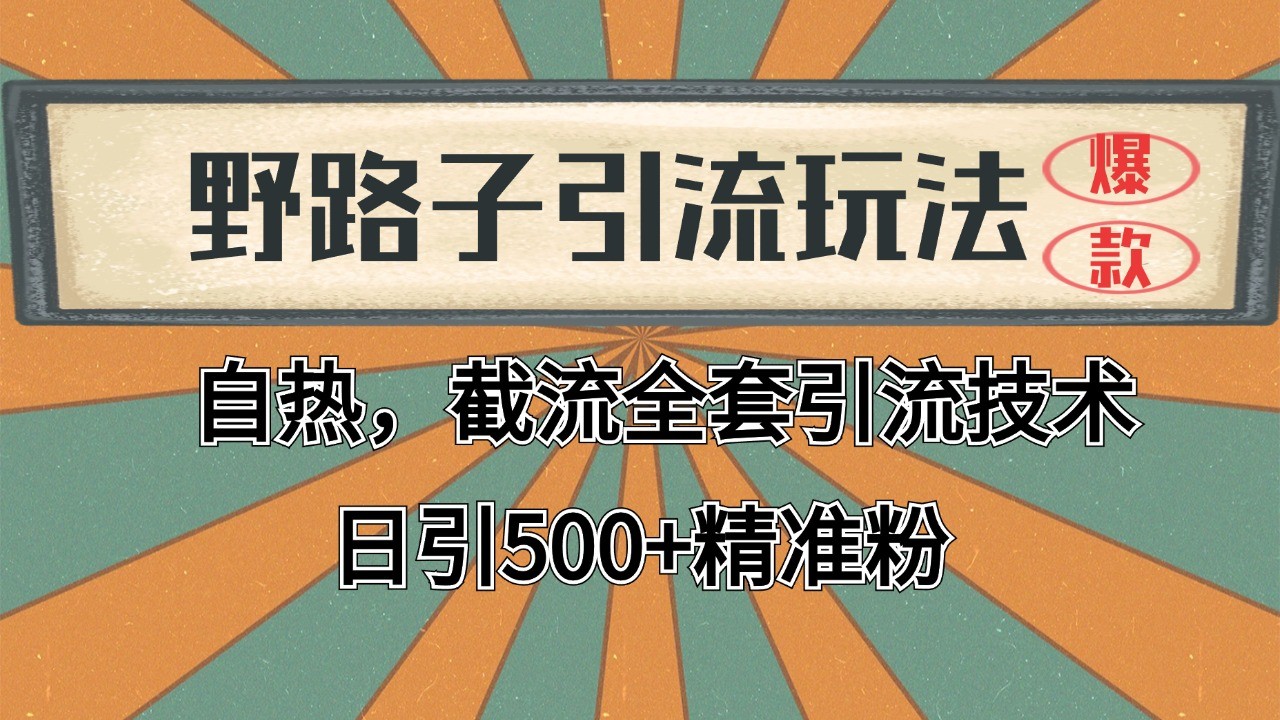 2024首发野路子引流玩法截流自热全平台打法，全自动引流【日引2000+精准客户】-泡泡网创