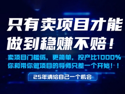 只有卖项目才能做到稳挣不赔，门槛低，更简单，你也可以年入百个W【揭秘】-泡泡网创