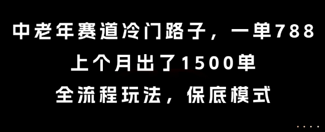 中老年赛道冷门路子，一单788，上个月出了1500单，全流程玩法，保底模式【揭秘】-泡泡网创