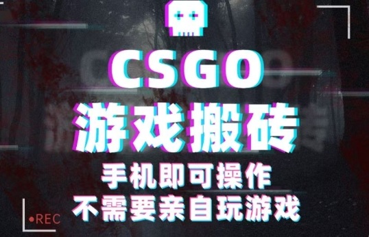 CSGO游戏挂G捡漏，单日扫货5张+，年底小高峰上车可吃肉，手机即可操作，兼职副业创业网创【揭秘】-泡泡网创